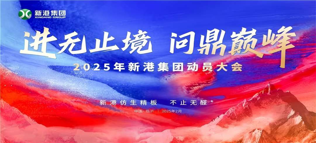 進(jìn)無止境，問鼎巔峰！2025年新港集團(tuán)動員大會成功召開！